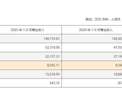 老白干酒上半年增速放缓，湖南市场能否成为其全国化破局关键？