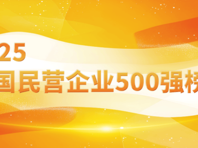 2025中国民营企业500强出炉，河南15强彰显经济新活力！