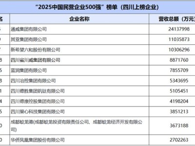 2025中国民营企业500强榜单揭晓，四川11家企业上榜，蓉企占七席
