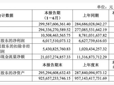 上汽集团上半年营收增长利润下滑，新能源与技术创新成转型亮点
