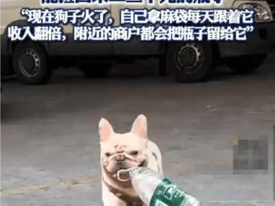 小狗捡瓶攒万元，平凡坚持映照社会温情与正能量
