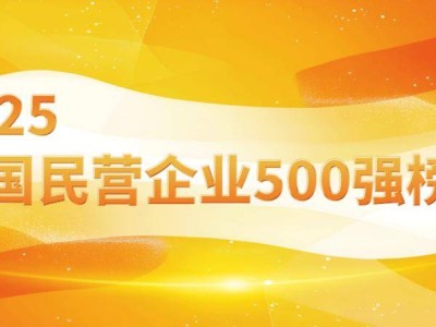 2025中国民营企业500强揭晓：京东阿里恒力领衔，研发投入强度如何？