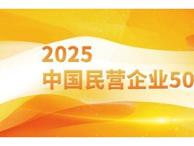 龙佰集团再获殊荣：双榜单排名提升，稳健迈向高质量发展之路