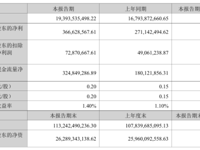 国轩高科2025上半年营收近200亿，动力电池市占率提升，固态电池取得新进展