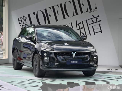 岚图知音纯电SUV上市，20万起售，配齐满配，树立家用新标杆
