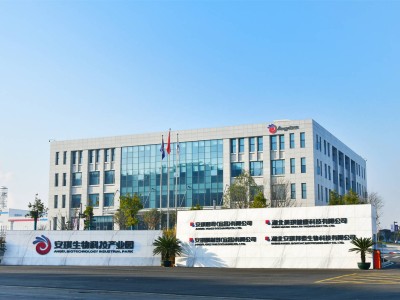 安琪集团的多元化之路：从酵母到茶业，如何“发酵”新活力？