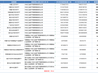 中央汇金上半年大举增持ETF，宽基与行业ETF齐飞涨势喜人