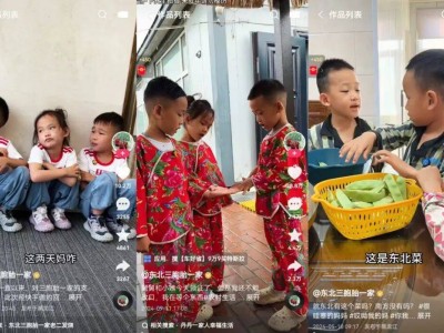 快手“短直一体”模式：内容创作者变现的新蓝海