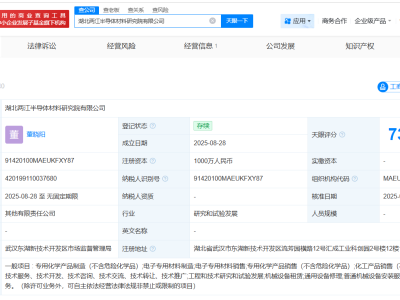 广钢气体携手伙伴湖北共筑半导体未来，新材料研究院公司注册资本达千万