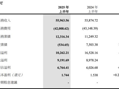 中国太平上半年财报揭秘：投资收益下滑四成，保险主业稳健增长
