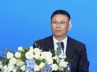 横琴人寿：治理变动与资本导向下的财务挑战