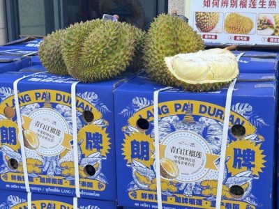 成都国际铁路港：如何实现“榴莲自由”，见证对外开放新活力？