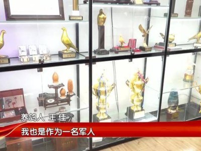 天安门放飞的和平鸽：赛级精英夜宿房车，回家路温馨上演