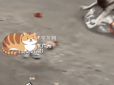 广州“瓶子猎手”法斗：五年坚持捡瓶，万元存款赢全网心