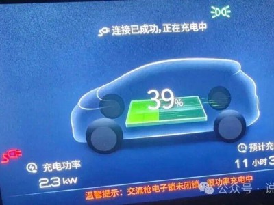 新能源车选购指南：2025年避坑攻略，技术、服务、品牌一个都不能少