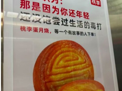 桃李面包月饼广告语：“五仁不好吃因年轻不懂生活”，网友热议