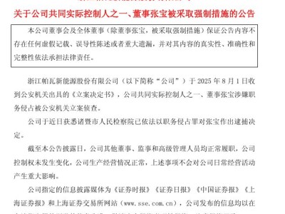 ​ST帕瓦实控人张宝被批捕！中南大学博士背景，公司曾自曝其占用资金超1.9亿​