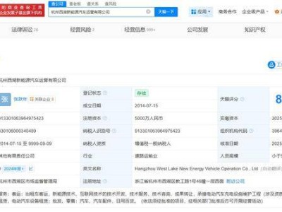 杭州西湖新能源汽车运营公司股东生变，比亚迪等退出新股东入驻