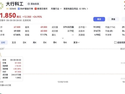 “内地折叠自行车第一股”大行科工上市首日高开，暗盘曾涨超200%成“大肉签”！