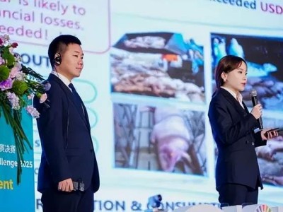 科技青年扎根田间猪圈，拼多多农创客大赛解锁农业科技新未来
