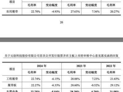 ​元创股份资本路坎坷：上半年业绩微降，毛利率波动风险暗藏​