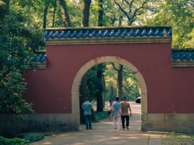 5A景区光环渐褪：数量攀升却口碑下滑，游客直呼体验感大不如前