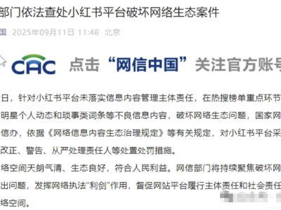 小红书热搜乱象背后：算法“喜好”如何搅动内容生态？