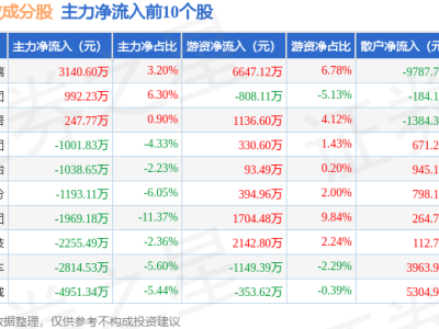 9月12日300可选指数下跌1.29%，石头科技领跌，资金流向呈现主力撤离态势