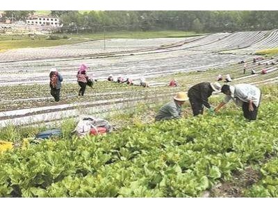 ​青海“社零”增速首超全国：政策、产业、业态协同绘就消费升级新画卷​