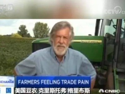 丰收季成“绝望季”！美国豆农哭诉：关税战下大豆烂田，出路何在？