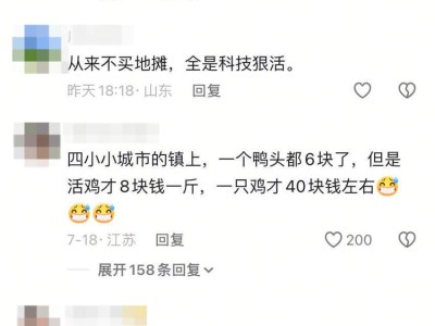 ​路边摊价格飙升背后：成本攀升与网红经济如何“合力”推高售价？​