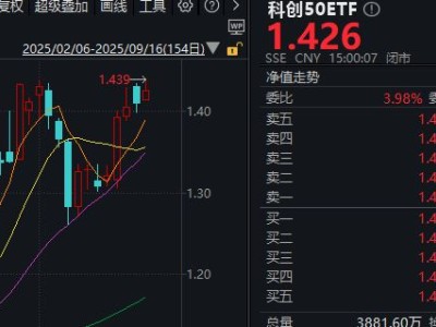 科创50指数样本权重调整，寒武纪权重下降，中长期投资价值几何？