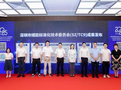 深圳举办湾区新能源研讨会 发布多项标准成果助力储能产业高质量发展