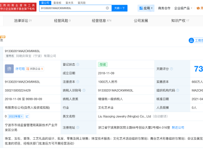 刘晓庆珠宝公司被限消
