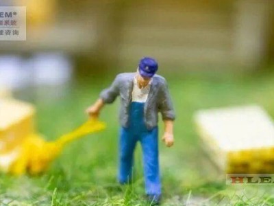 消费市场“冷”与“热”交织：年轻群体引领制造业新变革