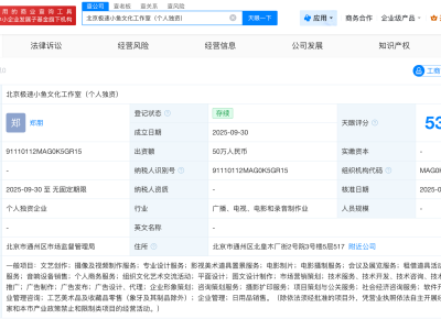 梓渝新工作室叫极速小鱼