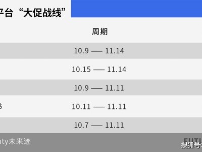 2025双11激战正酣：大促爆发与平销承压下的美妆市场双轨突围