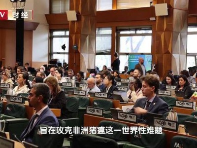 中国青年农创客携“AI养猪”方案亮相联合国粮农组织盛会 拼多多助力中国农科智慧闪耀世界