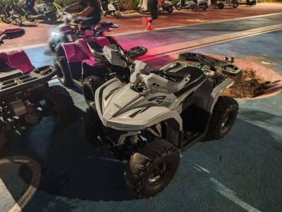 特斯拉Cyberquad儿童摩托:从抢手货到二手4折,同城自提或成捡漏新选择