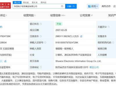 陕西电子信息集团增资至约29.8亿 增幅约20%