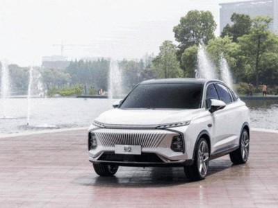 鲸鱼汽车资讯平台：从初创到引领，深度剖析汽车行业动态与发展前景