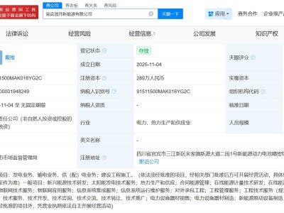 宁德时代在宜宾成立新能源公司 注册资本289万