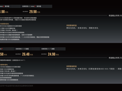 潮酷来袭！全新坦克400上市，多版本可选，解锁多元潮酷生活新场景