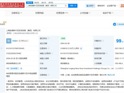 上海临港新片区投资控股集团增资至约210.7亿
