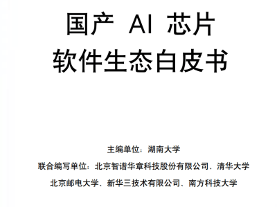 国产AI芯片软件生态：从“可用”到“卓越”的跨越之路与未来展望