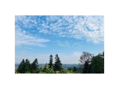 山东夫妻用工业甲醛泡毛肚鸭肠售卖3500斤，夫妻双双获刑罚款