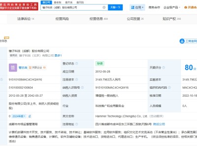 罗永浩名下锤子科技被执行714万