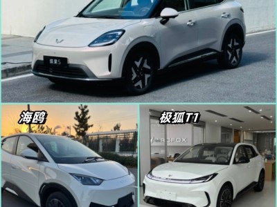 六七万预算选家用代步电动车，缤果S、海鸥、极狐T1谁更值得入手？