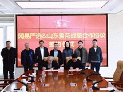 鲁花集团携手网易严选 共启品质消费新篇章 探索生活新方案