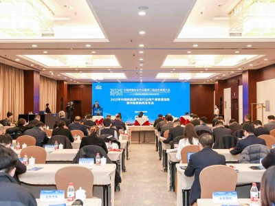 2025中国新能源汽车满意度提升 自主品牌凭多元优势领跑市场